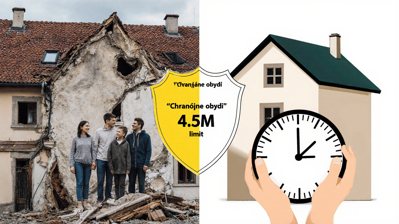 Dvě části domu: jedna chráněná, druhá prodávána na dražbě.